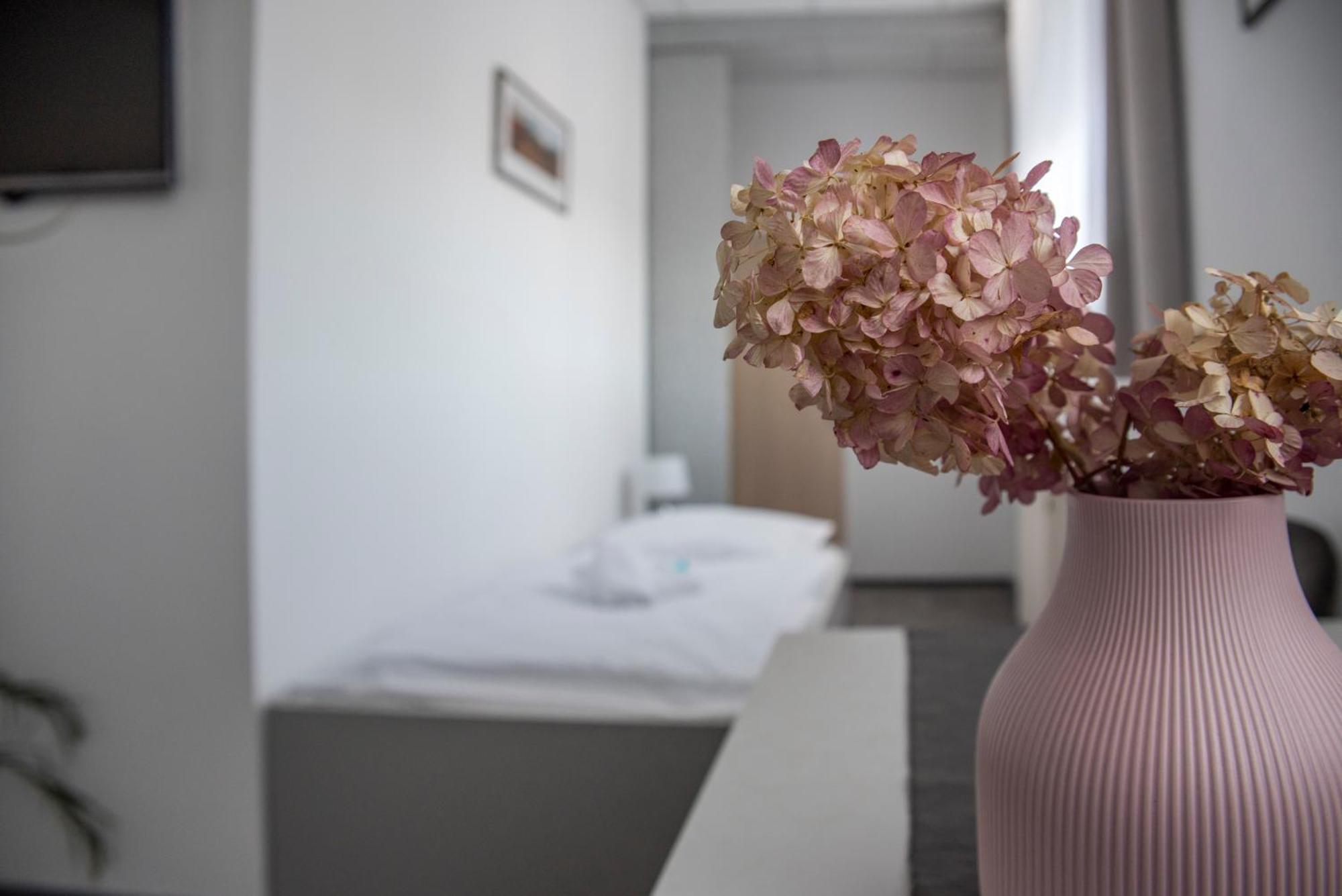 Classic Apartmany Trinec Bagian luar foto
